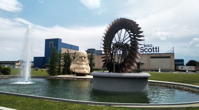 Daily Nutrition with Riso Scotti’s Organic Rice Milk