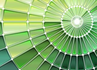 What Colors Go with Dark Green? 7 Stylish Ways to Pair Dark Green Outfits