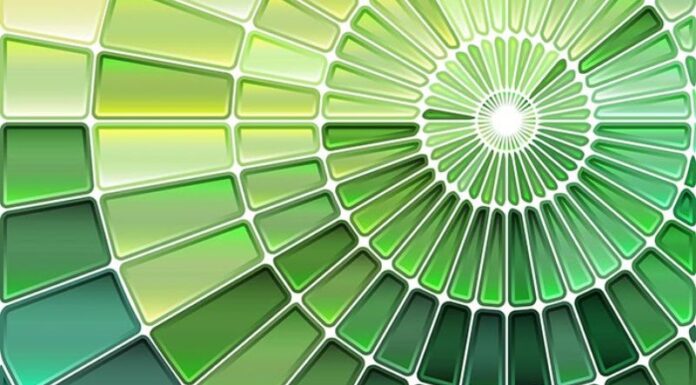 What Colors Go with Dark Green? 7 Stylish Ways to Pair Dark Green Outfits