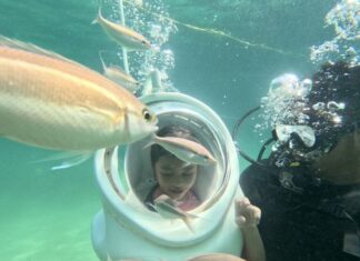 Sunrise to Sunset: Dive, Discover Coral Reefs This September 2nd – Plan Now!