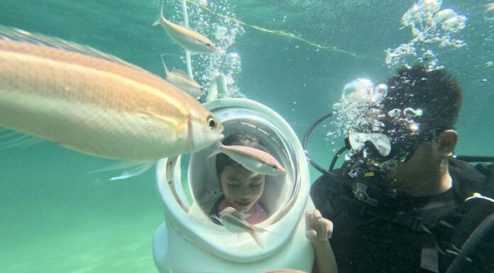 Sunrise to Sunset: Dive, Discover Coral Reefs This September 2nd – Plan Now!