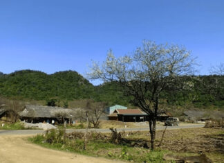 Discover the Allure of Van Ho, Son La: Unmissable Travel Highlights to Save Now