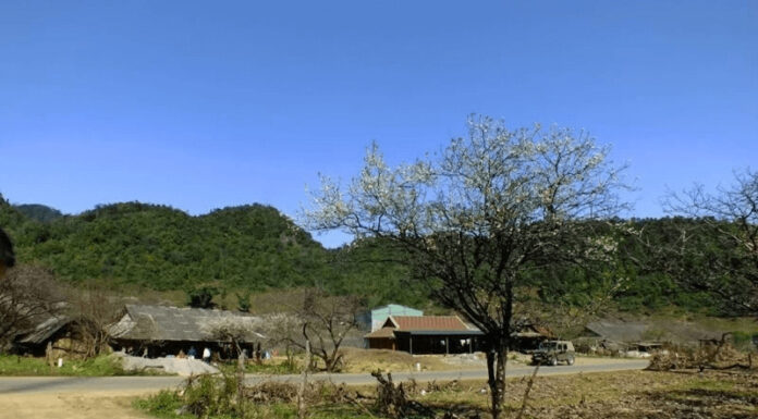 Discover the Allure of Van Ho, Son La: Unmissable Travel Highlights to Save Now