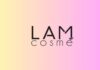 Discover the Lamcosmé Hand Sanitizer Spray Range: Types and Benefits