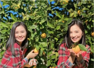 “Hồng Đăng’s Sister” Leaves Showbiz, Relocates to the U.S. with Family, Now Showcases a Bountiful, Eye-Catching Garden