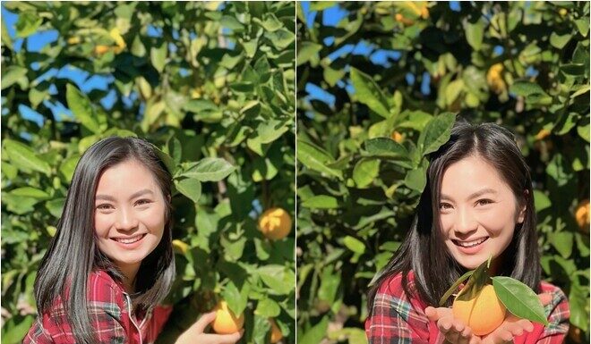 “Hồng Đăng’s Sister” Leaves Showbiz, Relocates to the U.S. with Family, Now Showcases a Bountiful, Eye-Catching Garden