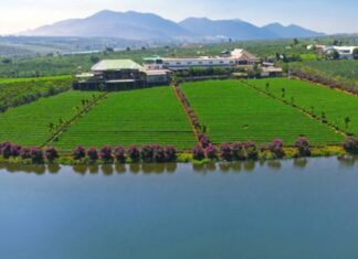 Uncover the Best of Lam Ha (Lam Dong): 5 Must-Visit Tourist Attractions