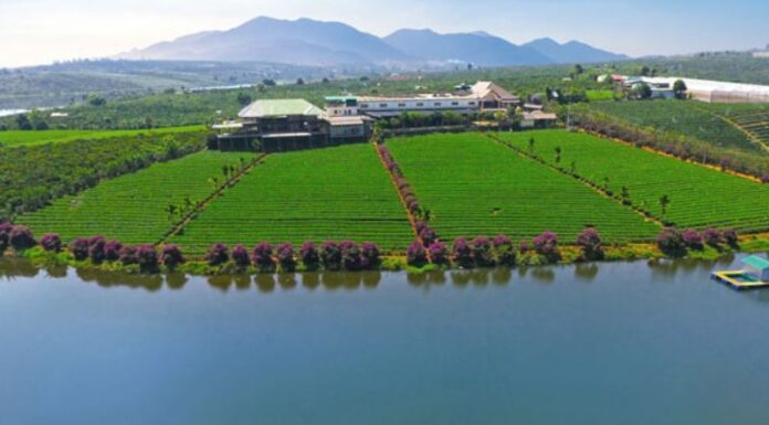 Uncover the Best of Lam Ha (Lam Dong): 5 Must-Visit Tourist Attractions