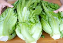 Pickling Cabbage: Don’t Just Add Salt—Include This One Step for Quick, Crispy, Golden, and Mold-Free Results