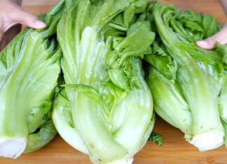 Pickling Cabbage: Don’t Just Add Salt—Include This One Step for Quick, Crispy, Golden, and Mold-Free Results