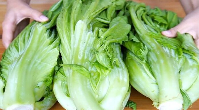 Pickling Cabbage: Don’t Just Add Salt—Include This One Step for Quick, Crispy, Golden, and Mold-Free Results