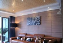 Why More People Are Ditching Wallpaper: 5 Practical Reasons