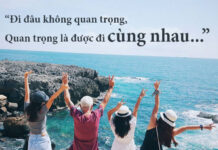 100+ Hilarious Travel Quotes & Witty Sayings for Adventurers in 2026