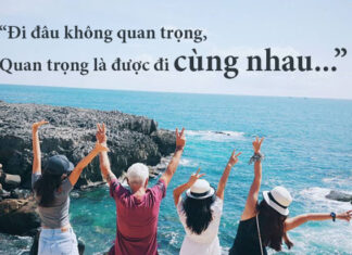 100+ Hilarious Travel Quotes & Witty Sayings for Adventurers in 2026