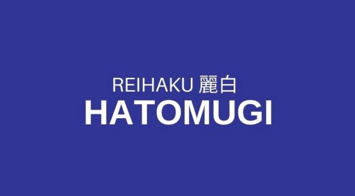 Hatomugi Reihagi Moisturizer Review: Is This Job’s Tears Extract Cream Worth the Hype?