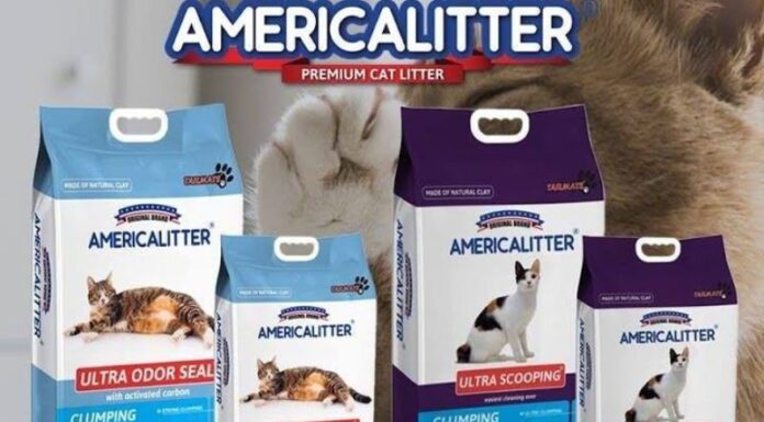 Top 5 Highly-Rated American Cat Litters on the Market