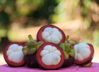 Centuries-Old Rambutan Orchard in Vietnam’s Mekong Delta Welcomes Visitors