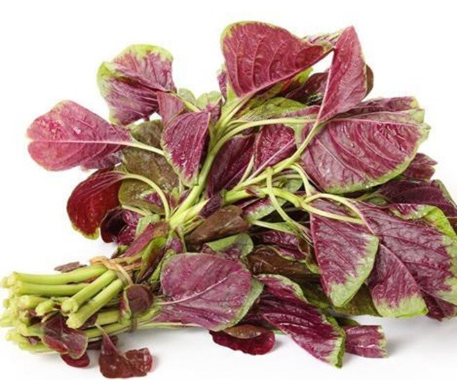 The Ultimate Nutrient Powerhouse: A Vegetable Richer in Iron and Calcium Than Seafood or Beef, Yet Overlooked by Many Vietnamese