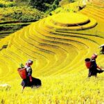 Yên Bái Travel Guide: 16 Must-Visit Stunning and Captivating Destinations
