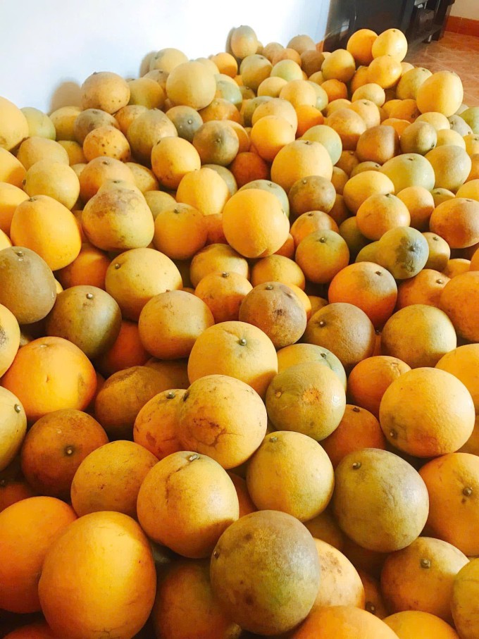 Tips to Keep Pomelos Fresh and Fragrant Throughout Tet
