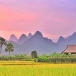 7 Unforgettable Farmstay Getaways in Vietnam