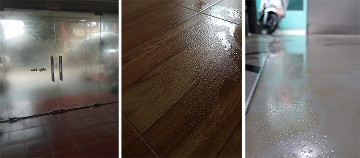 Mastering the Damp Season: Understanding and Combating Humidity in Your Home