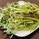 “Affordable and Cooling Vegetable Beloved by Many Vietnamese, Yet Prone to Parasites: Expert Advice”