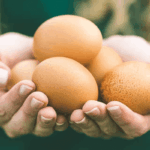 What Happens When You Eat Eggs Daily?