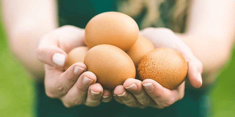 What Happens When You Eat Eggs Daily?