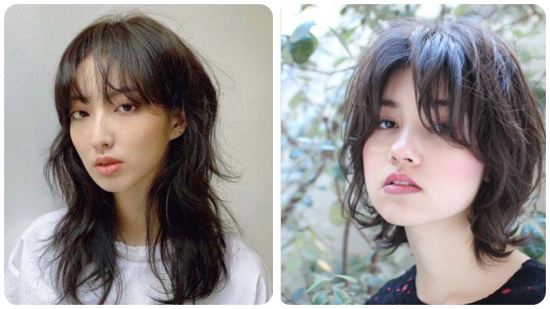Unleash Your Inner Trendsetter: Discover the Wolf-Cut Hairstyle Taking TikTok by Storm