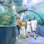 Top 9 Must-Visit Zoos in Vietnam for a Fun-Filled Weekend