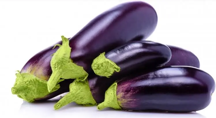 Stir-Fried Eggplant: 2 Extra Steps to Prevent Browning and Greasy Absorption