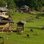 “Near Hanoi Lies the ‘Primitive Village of Three Nots’: A Healing Paradise with Cool, Refreshing Air”